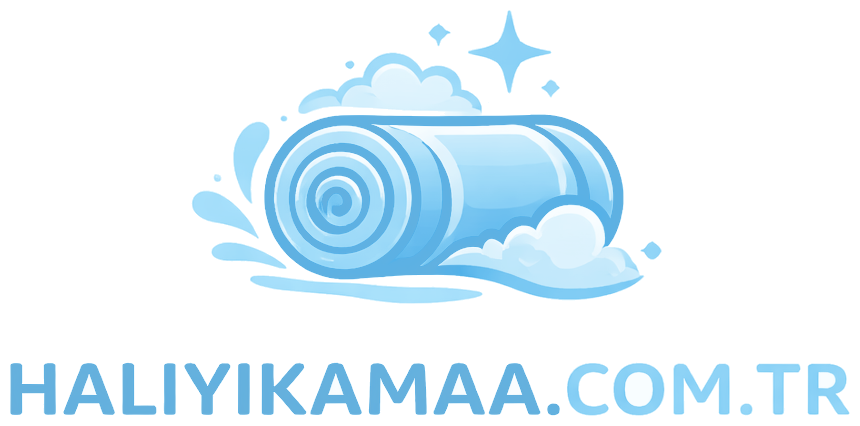 HalıYıkamaaa logosu
